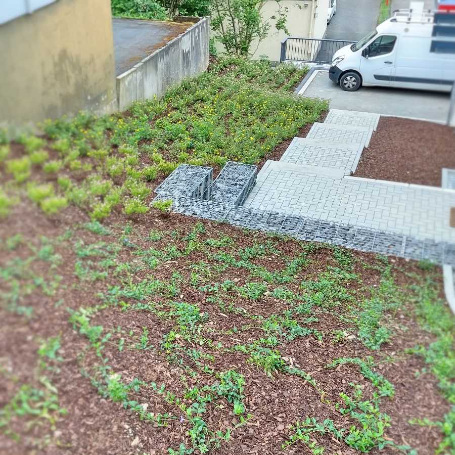 Gro�fl�chige Bepflanzungen