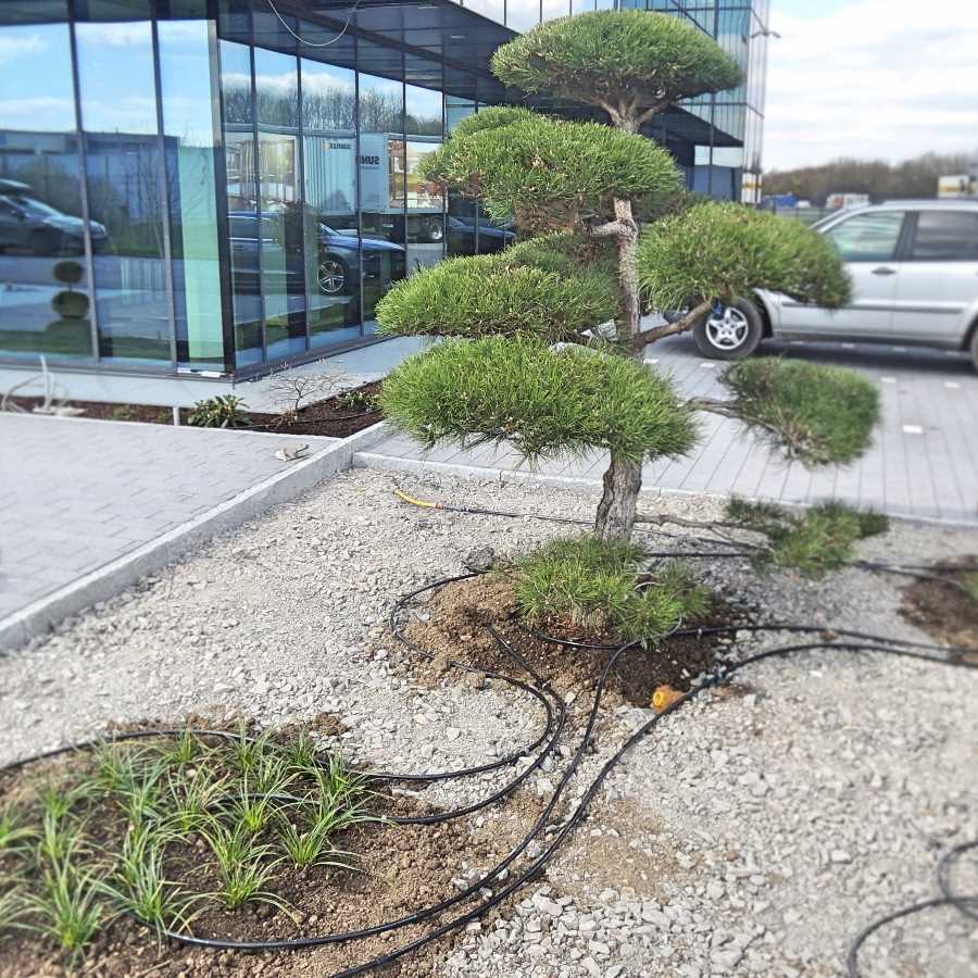 Bew�sserungssysteme