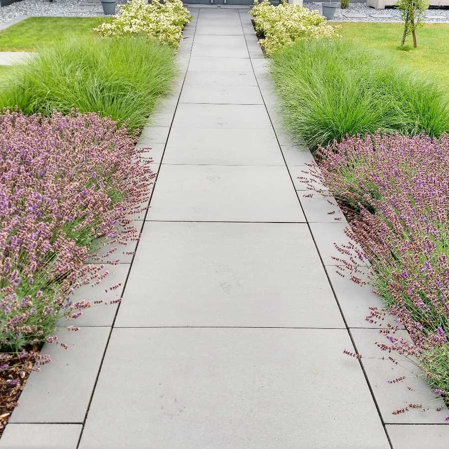 Fl�chige Bepflanzung